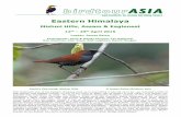 Birdtour Asia Eastern Himalaya 2015 Reports/Birdtour Asia Eastern... · 2015-06-02 · weeds surprised us with its abundance of thrushes – Plain-backed, Black-throated and Dusky
