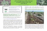 INTERNATIONAL PARTHENIUM NEWS - APWSS · Parthenium weed is also present in Bhutan and is distributed in the Punakha, Tongsa, Mongar and Tashigang administrative districts where it