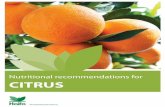 Nutritional recommendations for - Haifa Group · 3.11.1 Haifa Bonus increases yields and enlarges fruits ... Table 3: Irrigation factors according to different citrus groups Group