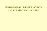 HORMONAL REGULATION OF GAMETOGENESIS · 2018-01-11 · FEMALE REPRODUCTIVE SYSTEM HORMONAL REGULATION OF OOGENSIS AND OVULATION FOLLICULAR PHASE LUTEAL PHASE OVULATION 10-20 primordial