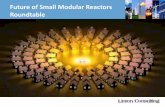 Future of Small Modular Reactors RoundtableSmall, Modular Reactors ... of plant development” ... Senator DeMint’s Office 115 Interviews, Discussions, and Meetings* Shaw Group Siemens-America