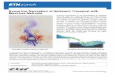 Numerical Simulation of Sediment Transport with Meshfree ... · Commissioned by: Swiss Federal Office for Water and Geology (BWG) Numerical Simulation of Sediment Transport with Meshfree