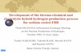 Development of the thermo-chemical and electrolytic hybrid ... · Development of the thermo-chemical and electrolytic hybrid hydrogen production process for sodium cooled FBR Third