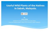 Useful Wild Plants of the Natives in Sabah, Malaysia.apafri.org/activities/TFRK_KL2014/Presentations/Malaysia...Useful Wild Plants of the Natives in Sabah, Malaysia. By Julius Kulip