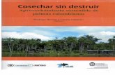 Rodrigo Bernal y Gloria Galeano - WordPress.com · des indígenas amazónicas [103]. Semillas probablemente pertenecientes a esta especie fueron halladas en un sitio arqueológico