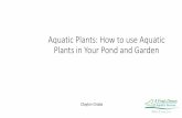 Aquatic Plants: How to use Aquatic Plants in Your Pond and ...Aquatic Plants: How to use Aquatic Plants in Your Pond and Garden . Clayton Graba. Easy Steps to Aquatic Plant Care and