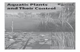 C667 Aquatic Plants and Their Control - KSRE Bookstoreaquatic plant problems are as follows: Impounded Waters (Ponds, Lakes, and Reservoirs) The most common aquatic vegetation problems