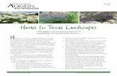 Growing Herbs for Texas Landscapes...Found almost everywhere, herbs have been defined generally as “the useful plants.” Besides adding beauty, herbs are used for cooking, making