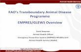 FAO’s Transboundary Animal Disease Programme · FAO’s Transboundary Animal Disease Programme. EMPRES/GLEWS Overview Scott Newman. Animal Health Officer Emergency Prevention System
