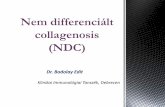 Nem differenciált collagenosis (NDC) Bodolay... · 2017-05-25 · Nem differenciált autoimmun betegség (NDC) A betegnek definitív autoimmun betegségre . jellemző. klinikai és