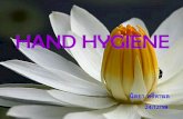 Hand Hygiene - Ministry of Public Healthbamras.ddc.moph.go.th/userfiles/13_00-16_00 Hand... · 2018-03-29 · การแพทย์ขณะท้าหัตถการ ตัวอย่าง