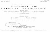 JOURNAL OF · 2006-11-19 · J. cilin. Path. (1951), 4, 243. ABSTRACTS This section of the JOURNAL is published in collaboration with the two abstracting journals, Abstracts of World