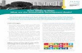 From MDGs to SDGs: What are the Sustainable ......16. Promote peaceful and inclusive societies for sustainable development, provide access to justice for all and build effective, accountable