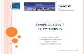 LYMPHOCYTES T ET CYTOKINES...• Présence dans le sang, les organes lymphoïdes secondaires → gd= LT gd Pas de restriction au CMH (molécules non peptidiques de petit PM, molécules