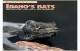 Idaho's Bats - Nongame Leaflet #11Title: Idaho's Bats - Nongame Leaflet #11 Author: idfg Subject: Idaho's Bats - Nongame Leaflet #11 Created Date: 2/1/2007 9:22:41 AM