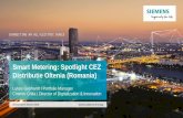 Smart Metering: Spotlight CEZ Distributie Oltenia (Romania)3a7a6eda-88b5... · Solutions Implementation, test and approval Training and full potential adoption Change management Project