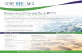 Respiratory Pathogen Panel (RPP) · 2019-09-24 · Respiratory Pathogen Panel (RPP) Available today through . CoreBioLabs. Accurate, Reliable Data in a Fraction of the Time. CoreBioLabs