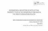 GEOGRAPHICAL INDICATIONS AS INTELLECTUAL PROPERTY …geographical indications as intellectual property titles in the operation of dns and in the dispute resolution policies wipo, information