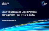 Loan Valuation and Credit Portfolio Management …...Loan Valuation and Credit Portfolio Management Post-IFRS 9, CECL, November 2019 16 Allocate new funds to maximize portfolio RAROC/RORAC