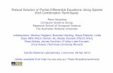 Robust Solution of Partial Differential Equations …peter/seminars/RobustPDE...Robust Solution of Partial Differential Equations Using Sparse Grid Combination Techniques Peter Strazdins