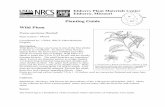 Planting Guide Wild Plum - Home | NRCS · Planting Guide Wild Plum Prunus americana Marshall Plant symbol = PRAM Contributed by: USDA, NRCS, Plant Materials Program Description Wild