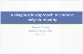 A diagnostic approach to chronic polyneuropathyOutline 1. Introduction and definition of entities. 2. Diagnostic workup of patients with chronic polyneuropathy (PN) Which patients