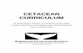CETACEAN CURRICULUM · 2017-07-19 · American Cetacean Society 2 WHAT IS A CETACEAN? At first glance, whales, dolphins and porpoises may appear to be similar but different types