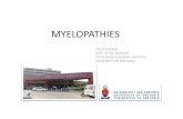 Causes of a myelopathy - wickUPwickup.weebly.com/uploads/1/0/3/6/10368008/myelopathies.pdf• Paraparesis • Quadriparesis • -Plegia • Myotome • Weakness of lower limbs •