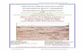 CHIKANNI AREA ΄A΄Prepared by M/s Udaipur Min-Tech Pvt. Ltd. Smt. Roshni Devi River Bed Mining (Sand, Bajri & Stone). 7 DISCLOSURE OF CONSULTANTS ENGAGED 174 – …
