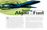 Algae TurningFuel - Woods Hole Oceanographic InstitutionOceanus Magazine | Woods Hole Oceanographic Institution 1 SCIENTISTS EXPLORE POTENTIAL FOR USEFUL PRODUCTS FROM OCEAN PLANTS