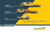Bergmann dumpers....Bergmann dumpers of the series 4000 do their job even on rough terrain. The powerhouses on tracks convince with high transport performance, are low-emission and