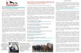 A CALL TO END HORSE SLAUGHTER IN CANADAThe horse slaughter process itself is not humane euthanasia. It is a predatory business that sustains a culture of cruelty to horses. • The