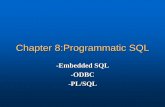 Chapter 8:Programmatic SQL - Renmin University of Chinaidke.ruc.edu.cn/xfmeng/course/Introduction to Database... · 2018-03-21 · Programmatic SQL Three types of programmatic SQL