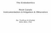 The Endodontics Root Canals Instrumentation & Irrigation ...root canal preparation and elimination of infection and the canal can be dried. It ... Instrumentation • Root canal debridement