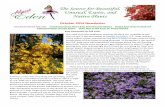 October 2014 Newsletter - Almost Eden Plants Eden's October 2014...newest introduction Almost Eden’s Baby Pink Perennial Hibiscus. These too are root hardy and look so similar to