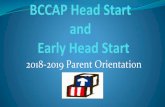 BCCAP Head Start and Early Head Start...Curriculum All Classrooms use the Creative Curriculum This curriculum; Uses exploration and discovery as a way of learning. Enables children