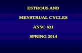 ESTROUS AND MENSTRUAL CYCLES ANSC 631 …agrilifecdn.tamu.edu/animalscience/files/2012/04/ANSC...In Women – Menstrual cycle Differs from estrous cycle no defined period of sexual