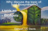 - Biofuels - USPsbbq.iq.usp.br/biofuel/presentations/dehesh_1_whydiscuss...Plant use reduced carbon derived from photosynthesis to store energy. Main forms of reserves are Carbohydrates,