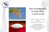 Rice Fortification in Costa Rica: a case studyRice Fortification in Costa Rica: a case study Scaling Up Rice Fortification in Asia Bangkok Workshop, 2014 Dr. Luis Tacsan Health Research