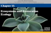 Ecosystems and Restoration Ecologyfheapbiology.weebly.com/uploads/3/7/8/0/37804939/ch_55_moodle.pdf•The law of conservation of mass states that matter cannot be created or destroyed
