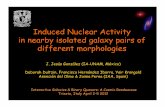 Induced Nuclear Activity in nearby isolated galaxy pairs ... · Induced Nuclear Activity in nearby isolated galaxy pairs of different morphologies J. Jesús González (IA-UNAM, México)