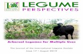 LEGUME · 2019-12-03 · Legume Perspectives 3 Issue 17 • August 2019 s A EDITORIAL CARTE BLANCHE 4 Bridging research gaps in arboreal legumes. James Muir and José Dubeux RESEARCH