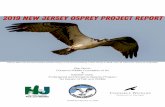 2019 New Jersey Osprey Project Report · 2020-02-18 · remote nests by boat and Osprey Watchers — citizen scientists who report activity at nests online at: . Staﬀ and Volunteer