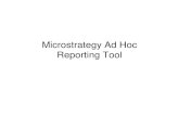 Microstrategy Ad Hoc Reporting Tool - HUD Exchange · Proposed vs Actual Accomp by Grant and Act Type LMI and Total NP. MicroStrategy 8 - Microsoft Internet Explorer File Edit View