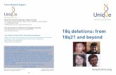 18q deletions: from 18q21 and beyond - Rare Chromo...A blood test to check both parents’ chromosomes is needed to find out why the 18q deletion occurred. Most 18q deletions occur