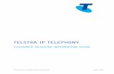 TELSTRA IP TELEPHONY · Figure 1 – Telstra IP Telephony (TIPT) Overview TIPT Customer Integration Guide | March 2016 Page 8 of 46 The following sections provide customer integration