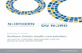 Northern Ontario health care priorities · 2015-07-10 · (OTN) is the network through which telemedicine services are delivered throughout Northern Ontario (Brown, 2013). Telemedicine
