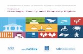 A Practitioner’s Toolkit on Women’s Access to Justice ... · Marriage, family and property rights cut across a range of economic, social, cultural, political and civil domains
