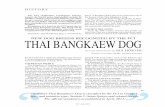NEW DOG BREEDS RECOGNIZED BY THE FCI THAI BANGKAEW DOG Thai Bangkaew Dog.pdf · a Spitz type with a ridge on its back, a wedge-shaped head, erect ears and a curly tail. The Japanese