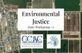 Environmental Justice · Ammonia - Dairy cattle are the largest source of ammonia emissions in the SJV Ammonia is a gaseous contaminant resulting ... Ozone 91 PM2.5 98 Drinking Water
